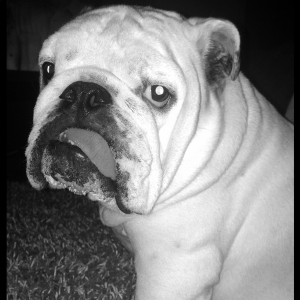 SO MANY MORE ITEMS TO COME.....